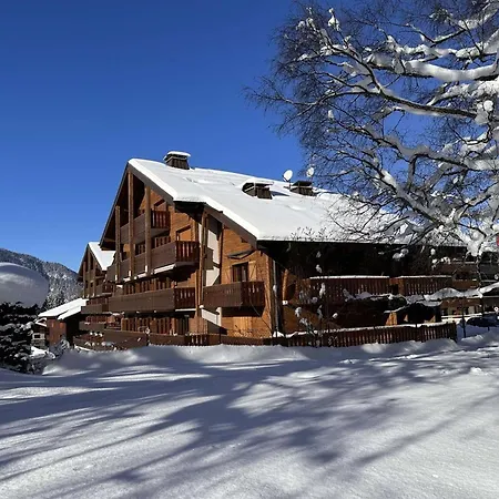 Spacieux 4 Pers Avec Garage, Lave-vaisselle Aux Carroz - Fr-1-572-159 Arâches